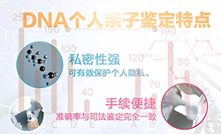 南京隐私亲子鉴定详细流程